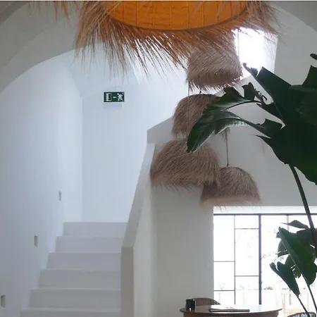 Araya シウタデリャ